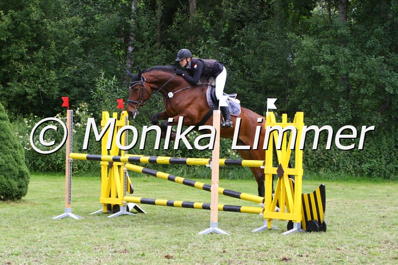 007M0037_Walk of Fame_Spring_L.JPG